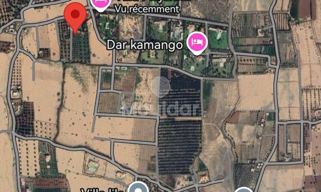 أرض زراعية مساحتها 20,000 متر مربع للبيع في مراكش - 3