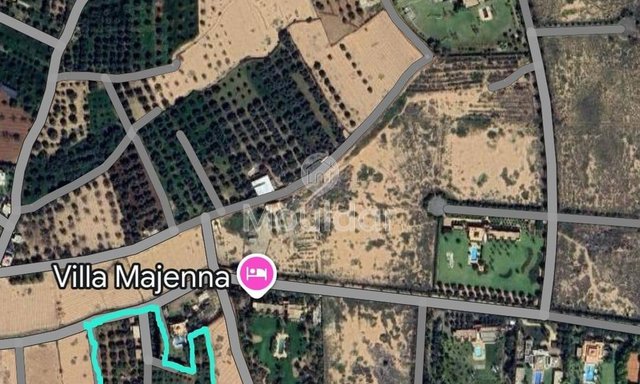 أرض زراعية مساحتها 20,000 متر مربع للبيع في مراكش - 4