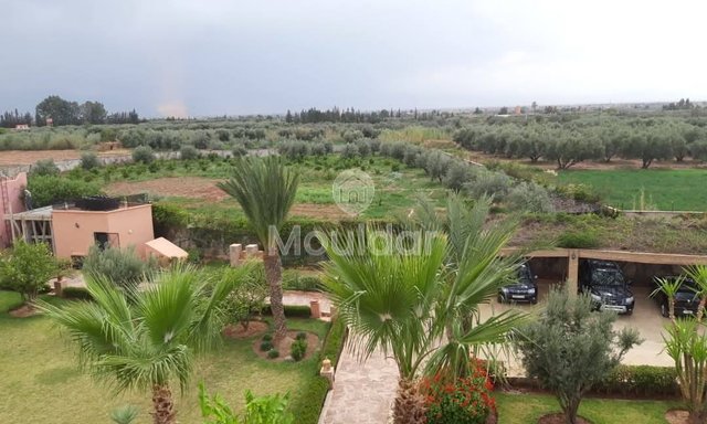 أرض زراعية للبيع في مراكش - فرصة فريدة - 2