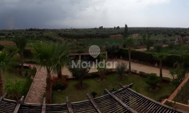 أرض زراعية للبيع في مراكش - فرصة فريدة - 3