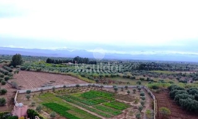 أرض زراعية للبيع في مراكش - فرصة فريدة