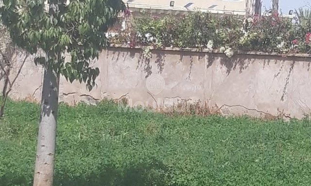 أرض زراعية للبيع في مراكش - فرصة فريدة - 4