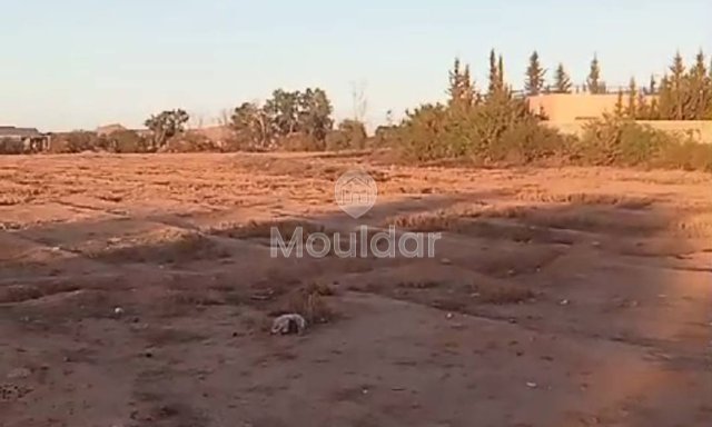 أرض زراعية للبيع في مراكش - 20,000 م² استثنائية - 2