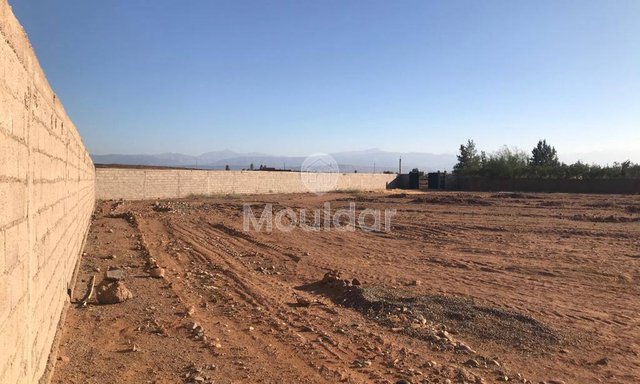 أرض زراعية للبيع في مراكش - فرصة فريدة - 2