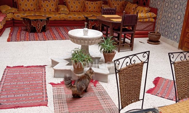 رياض للبيع في مراكش: 7 غرف في باب دكالة - 3