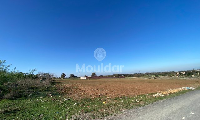 Benzersiz Teklif: El Menzeh'de 6883 m² tarım arazisi - 3