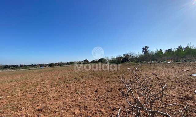 Benzersiz Teklif: El Menzeh'de 6883 m² tarım arazisi