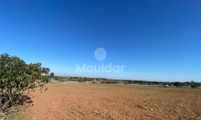 Benzersiz Teklif: El Menzeh'de 6883 m² tarım arazisi - 4