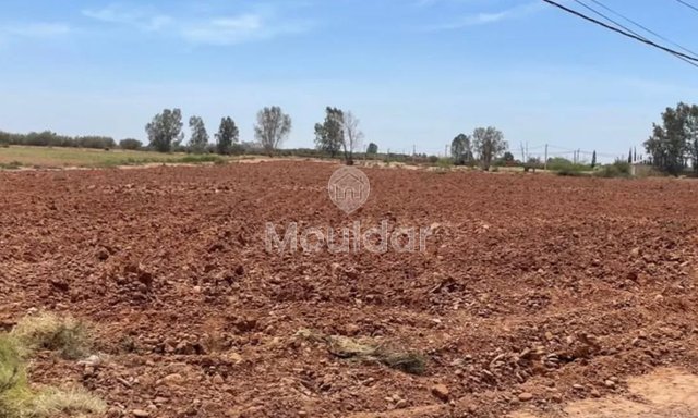 أرض زراعية للبيع: 15 كم من مراكش