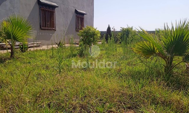 أرض زراعية للبيع في المحمدية - 1200م² للفرصة - 4