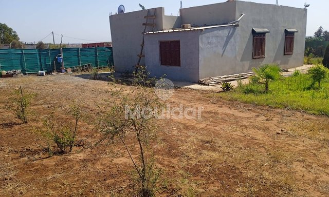 أرض زراعية للبيع في المحمدية - 1200م² للفرصة - 3