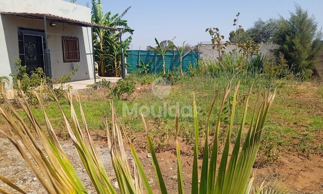 أرض زراعية للبيع في المحمدية - 1200م² للفرصة - 2