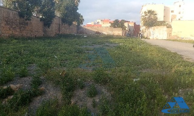 بيع قطعة أرض R4 في حي مشتل بسلا — سلا, بيبينيير