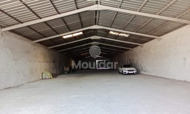 Souk El Arbaa'da Küçük Çiftlik: 27 ha Tarımsal Potansiyel