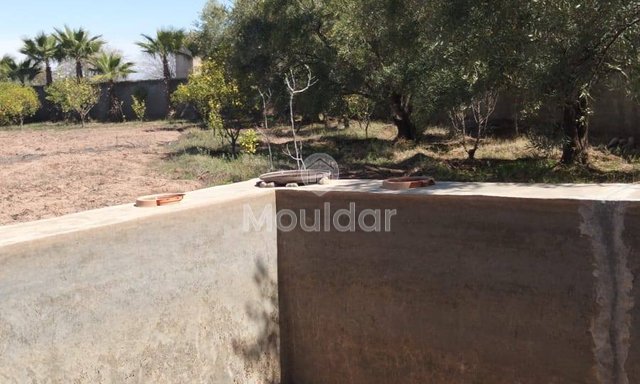 أرض زراعية للبيع في مراكش: 2530م² من الإمكانيات - 2