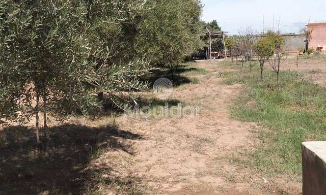 أرض زراعية للبيع في مراكش: 2530م² من الإمكانيات