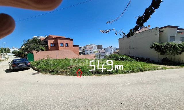 أرض الأحلام في طنجة: فيلتك تبدأ هنا - 2