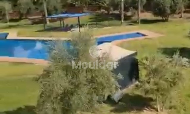 Villa dos sonhos para alugar em Marrakech - 4 quartos - 4