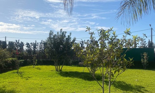 Dream Villa in Essaouira - 4 Bedrooms for Sale — Essaouira, Route de Marrakech - 3