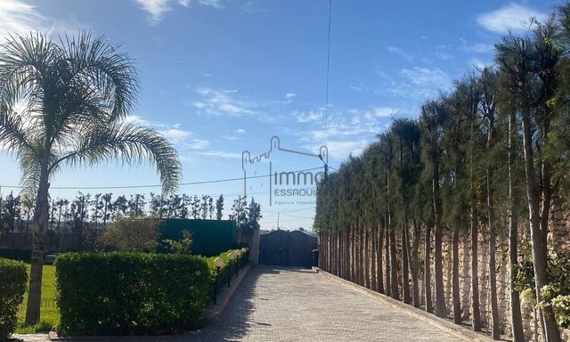 Dream Villa in Essaouira - 4 Bedrooms for Sale — Essaouira, Route de Marrakech - 16