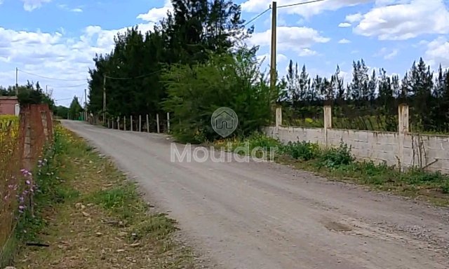 أرض زراعية للبيع في بنسليمان - 7000م² فرصة لا تعوض