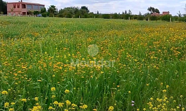 أرض زراعية للبيع في بنسليمان - 7000م² فرصة لا تعوض - 2