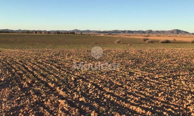 قطعة أرض استثنائية للبيع في مراكش - مثالية للفيلات - 2