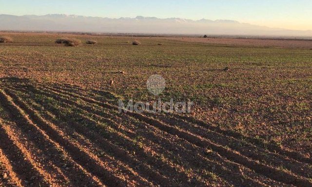 قطعة أرض استثنائية للبيع في مراكش - مثالية للفيلات