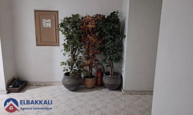 مكتب للإيجار في وسط مدينة طنجة: 80م² مع 4 غرف