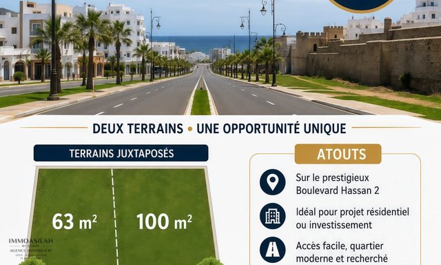 lots de terrain au centre asilah