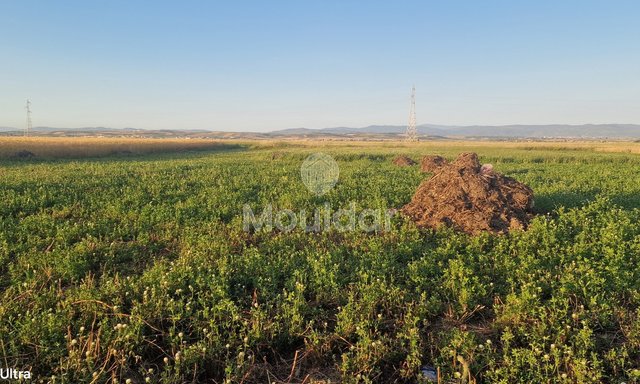 Agricultural Land for Sale in Ksar el-Kebir - 20,000 m² - 4