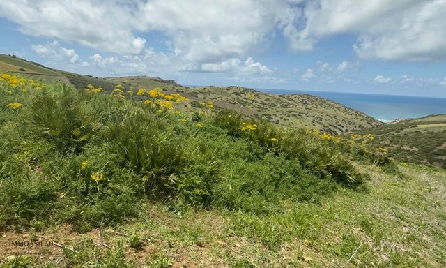 Terrain titré vue sur mer à Sidi Mghait Asilah - 2
