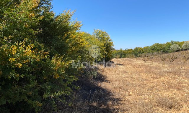 Teren agricol în vânzare în Rabat: O oportunitate unică de 10.000 m² - 2