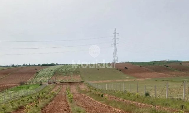 Kénitra'da satılık Tarım Mülkiyeti - Fouarate, 3100m²