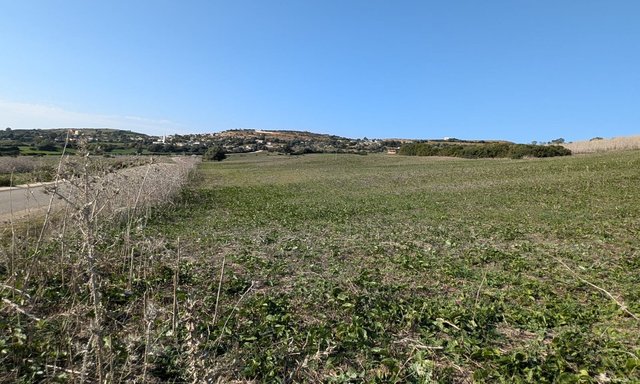 3 هكتارات زراعية للبيع في أصيلة - 4