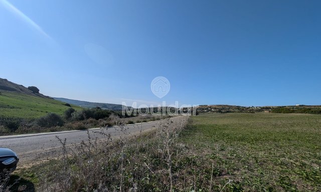 3 Ha de Terrain Agricole à Vendre à Asilah!