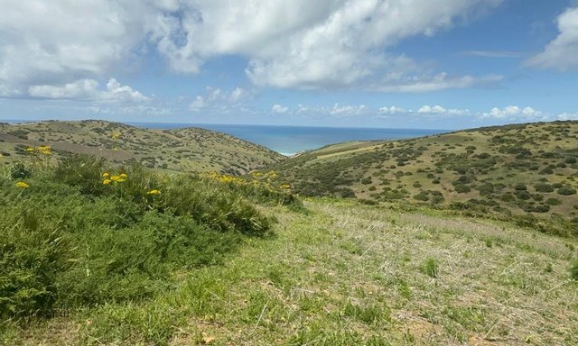 أرض مسجلة مع تصريح للبناء - 2