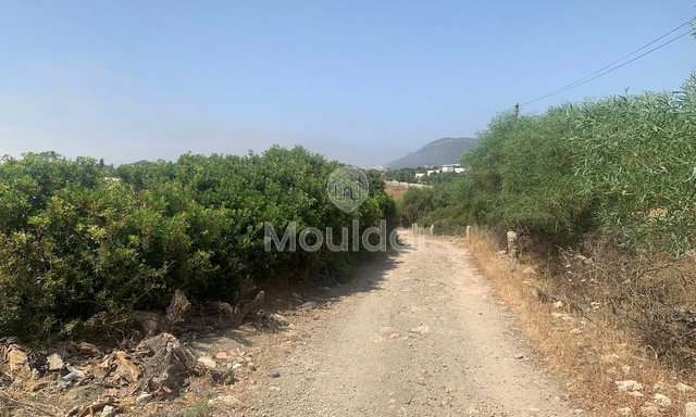 طنجة: أرض للبيع لفيلا، 3500 م² للفرصة المتاحة - 3