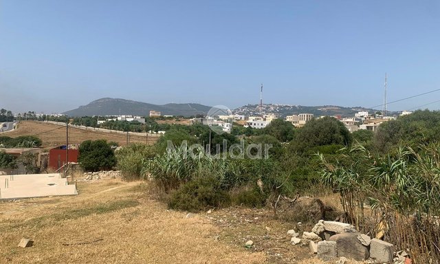طنجة: أرض للبيع لفيلا، 3500 م² للفرصة المتاحة