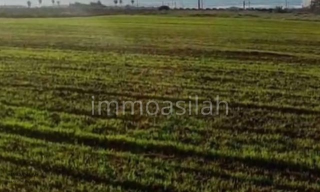 أرض 26244 م² لمشروع سكني على الواجهة البحرية - 2