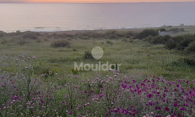 أرض للبيع في أصيلا: فرصة فيلا فريدة - 2