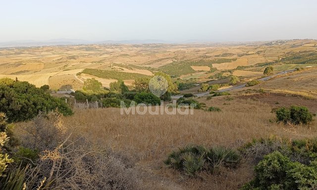 أرض للبيع في أصيلا: فرصة فيلا فريدة