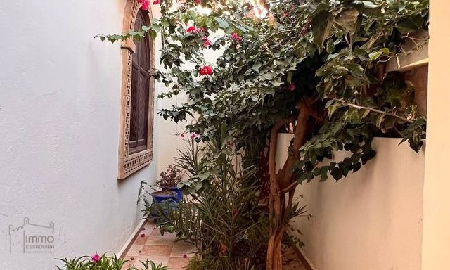 فيلا واسعة في الصويرة: 5 غرف، 150م² للإستيلاء عليها! — الصويرة, مستقبل - 3