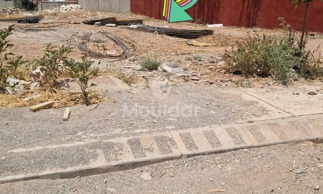 أرض زراعية للبيع في مراكش - فرصة فريدة - 2