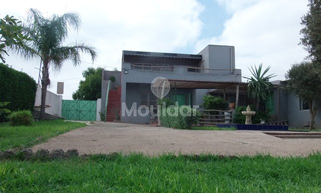 Όμορφη βίλα προς πώληση στο Ελ Τζαϊντίντα: κομψότητα και χώρος - 4