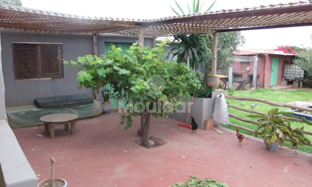 Όμορφη βίλα προς πώληση στο Ελ Τζαϊντίντα: κομψότητα και χώρος - 2