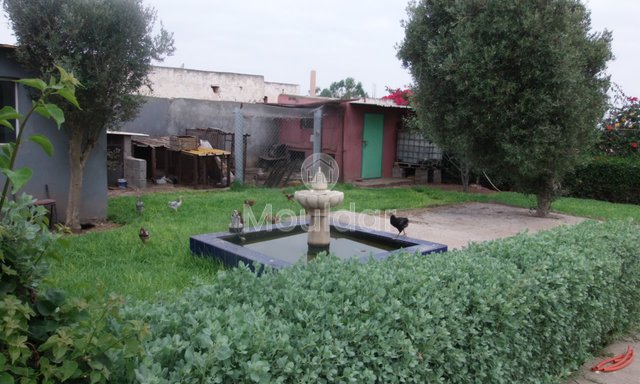 Όμορφη βίλα προς πώληση στο Ελ Τζαϊντίντα: κομψότητα και χώρος - 3