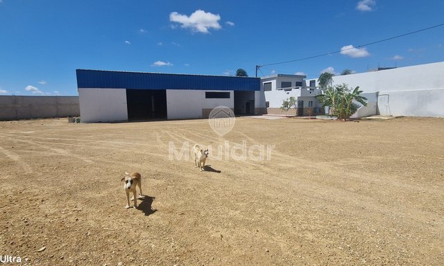 فرصة فريدة: قطعة أرض صناعية بمساحة 2400 متر مربع في القصر الكبير