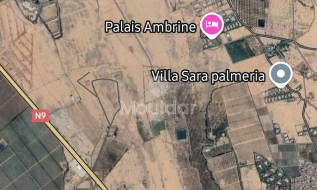 أرض زراعية للبيع في مراكش - 130,000 متر مربع للاستغلال - 3