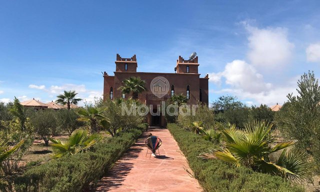 Riád de Sonho em Marrakech: Luxo e Conforto Sanitário - 2